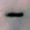  -> Edge-on Protoplanetary Disk in the Orion Nebula 