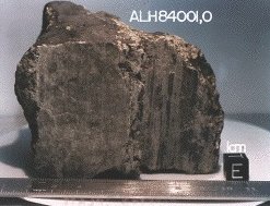 Meteorito ALH84001