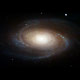-> M81 - Bode's Galaxy